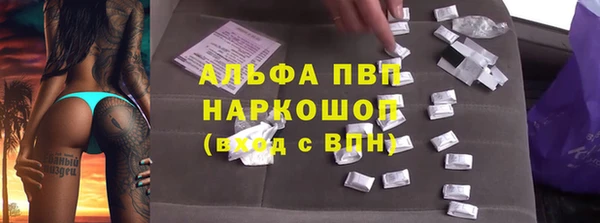 хмурый Алексин
