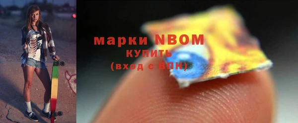 хмурый Алексин