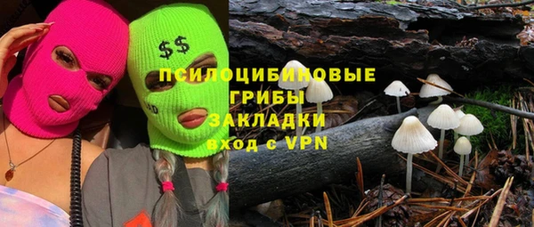 шишки Алексеевка
