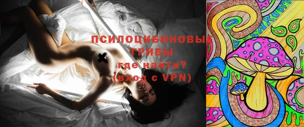 шишки Алексеевка