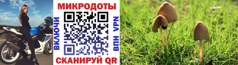 Галлюциногенные грибы MAGIC MUSHROOMS  купить наркотики сайты  Томари 